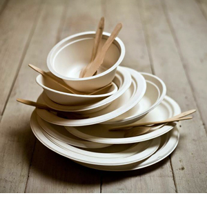 Eco dishes