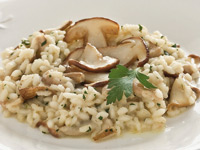 Mushrooms Risotto